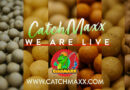 CatchMaxx: DIE neuen Köder am Markt!